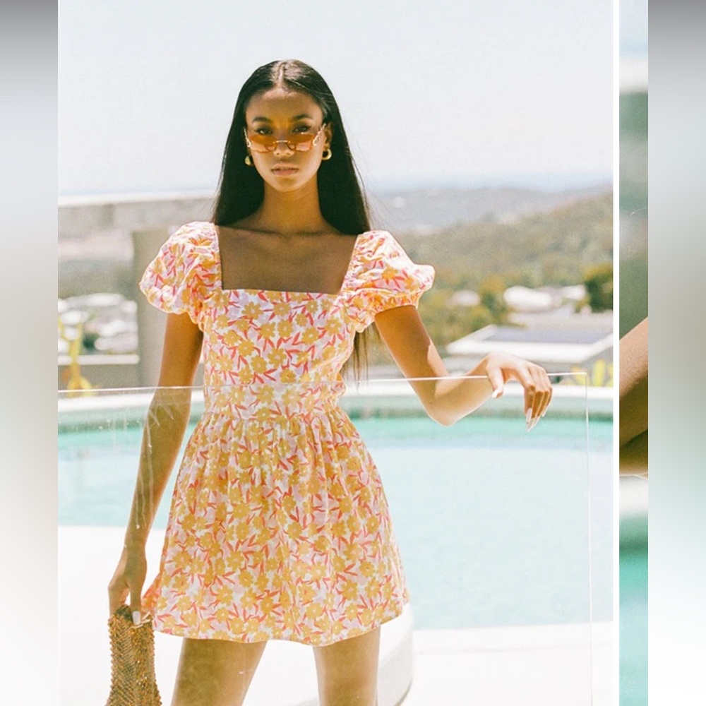 Sano skirt: Santa Cruz Dress - Link Flower